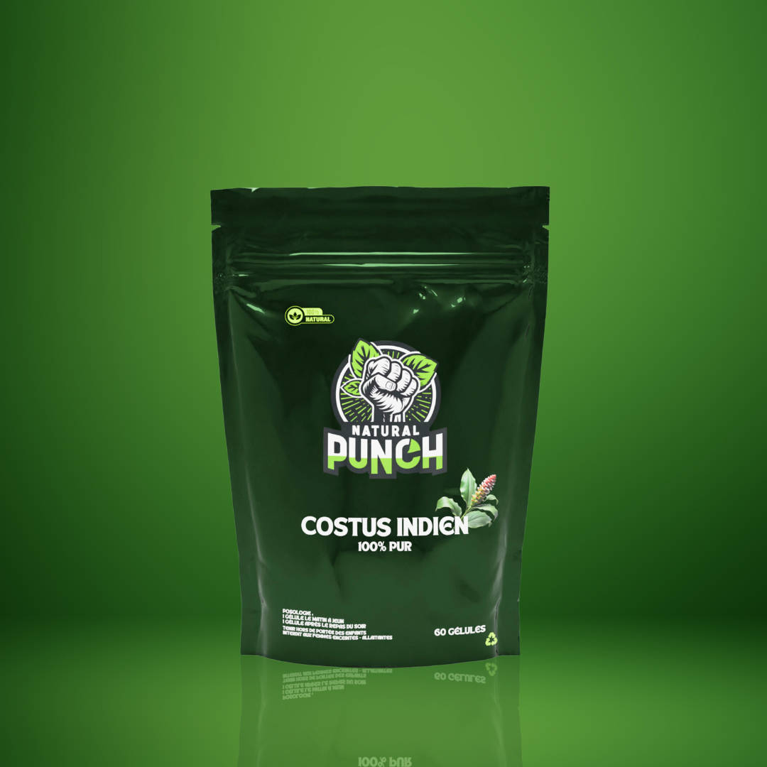 costus indien costus indien